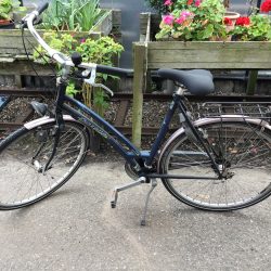 Gazelle medeo hybride