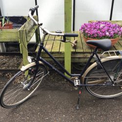 Sparta blauw damesfiets