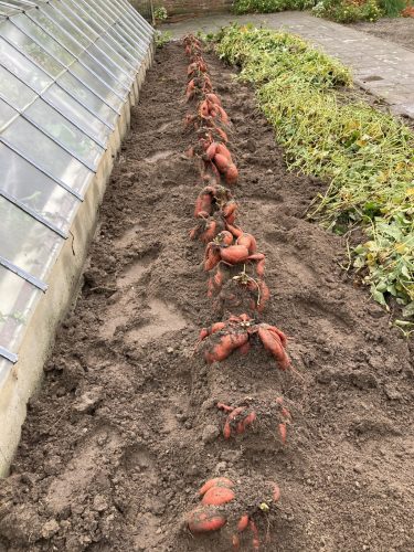 Grond van het bed verwijderen