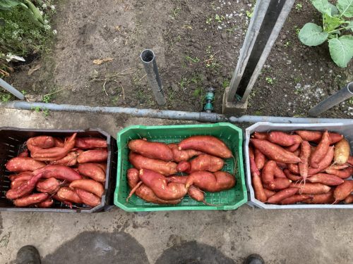 Schoonspoelen en drogen